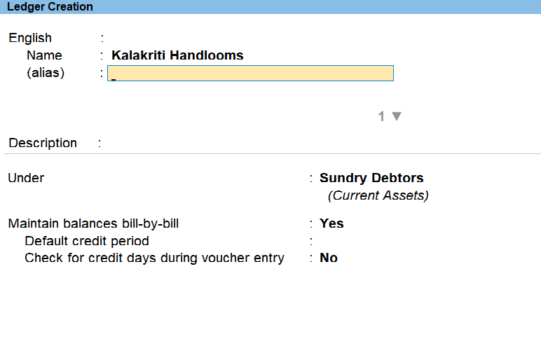 Fill in Ledger Name details